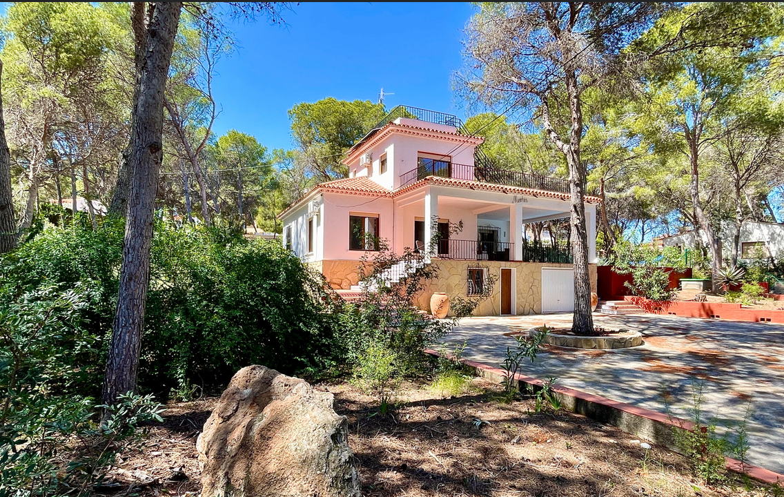 menhir1 cap1 - Larga estancia