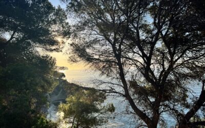 Mitos del turismo en la Costa Blanca