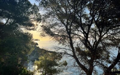 Mitos del turismo en la Costa Blanca